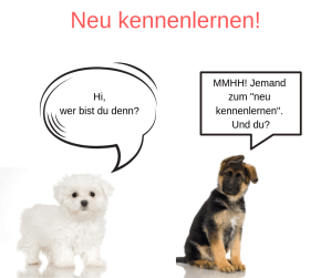Ex zurück Treffen wie neu kennenlernen