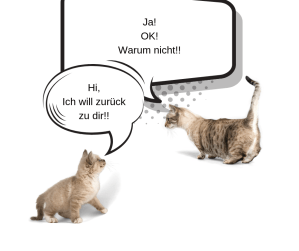 ex will zurück - zu schnell zusagen